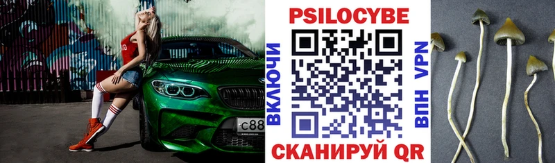 Галлюциногенные грибы MAGIC MUSHROOMS  закладки  Далматово 